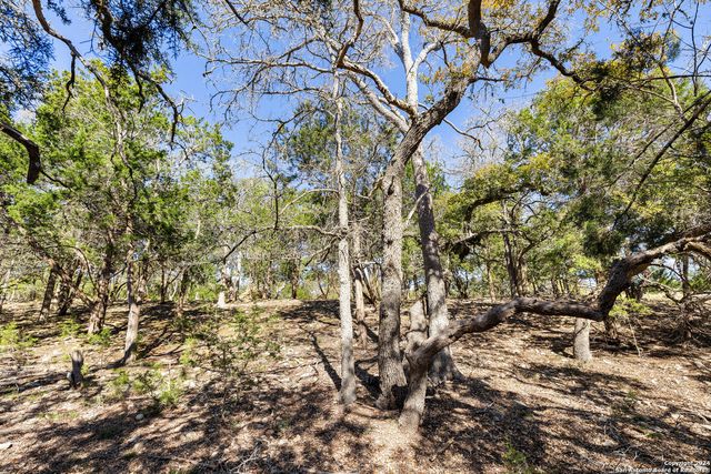 111 La Luna Drive, Blanco, TX 78606