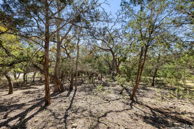 111 La Luna Drive, Blanco, TX 78606
