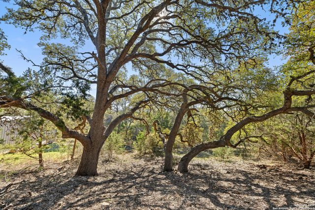 111 La Luna Drive, Blanco, TX 78606