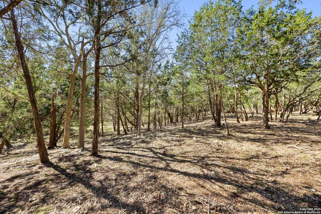 111 La Luna Drive, Blanco, TX 78606