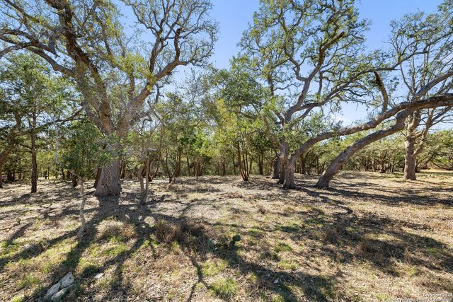 111 La Luna Drive, Blanco, TX 78606