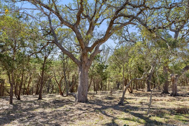 111 La Luna Drive, Blanco, TX 78606