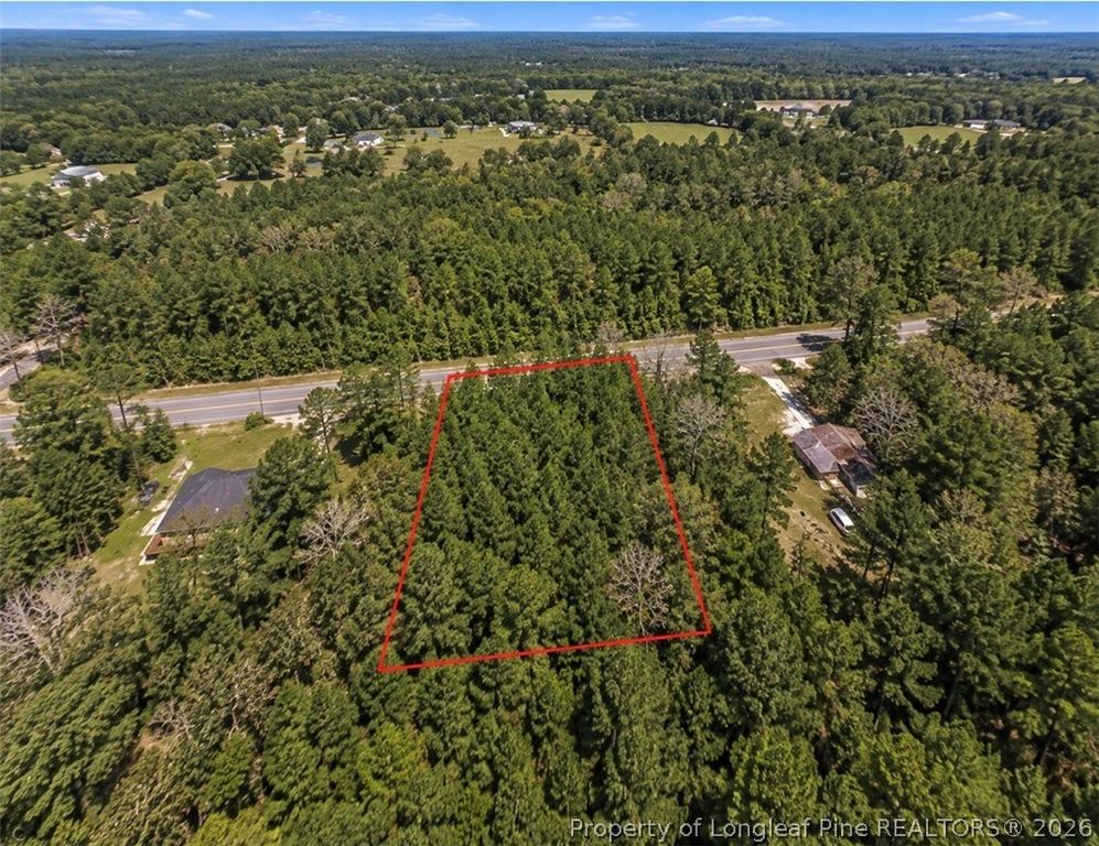 Morgan J Road, Shannon, NC 28386 — photo 2