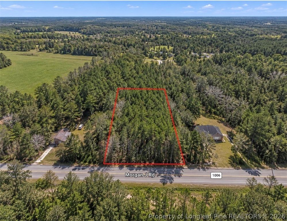 Morgan J Road, Shannon, NC 28386 — photo 3