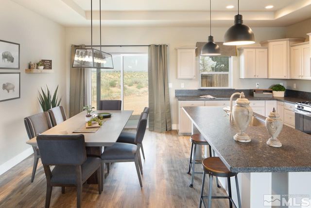 917 Saltbrush, Dayton, NV 89403