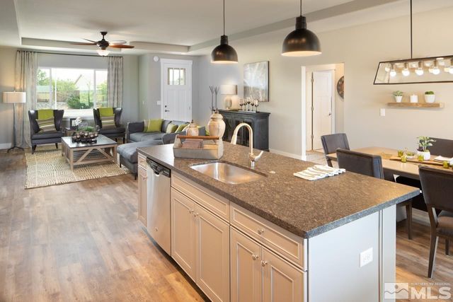 917 Saltbrush, Dayton, NV 89403