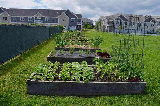 201 Holland Ln Unit 7, Williston, VT 05495