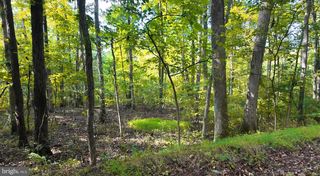 LOT 42 SHALE HILL LN, Augusta, WV 26704