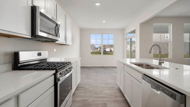 1243 Tiger Lily Drive, Bartlett, IL 60103