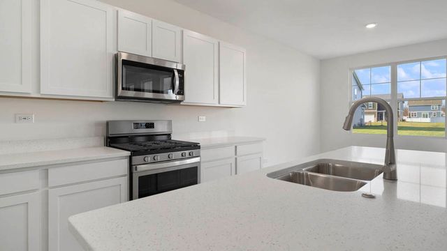 1243 Tiger Lily Drive, Bartlett, IL 60103