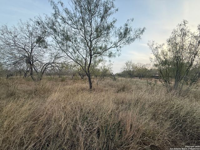113 CR 2672, Devine, TX 78016