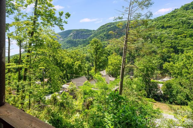 950 Main Street 5, Chimney Rock, NC 28720
