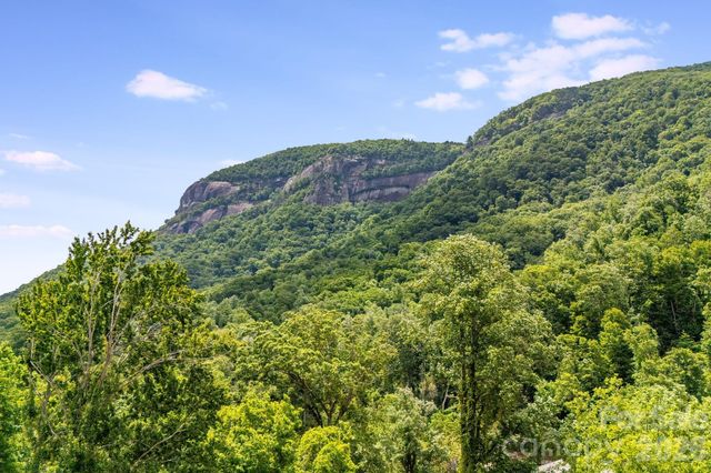 950 Main Street 5, Chimney Rock, NC 28720