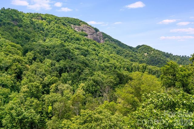 950 Main Street 5, Chimney Rock, NC 28720