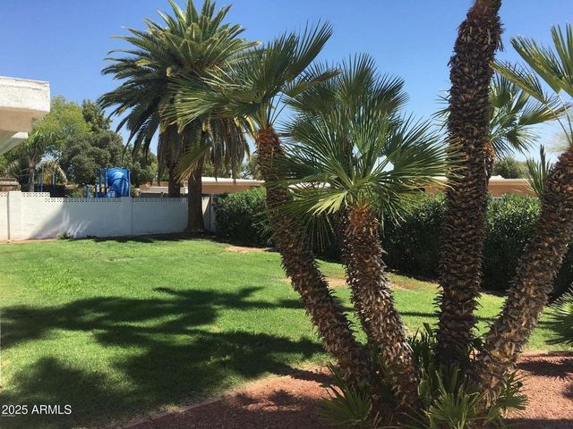 5623 E ASTER Drive, Scottsdale, AZ 85254
