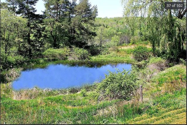 175 Searles Hill Road, Bainbridge, NY 13733