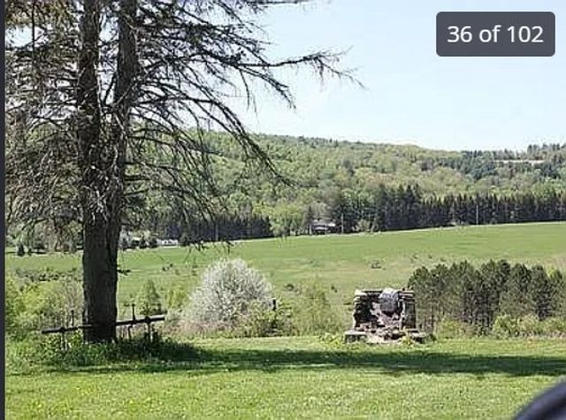 175 Searles Hill Road, Bainbridge, NY 13733