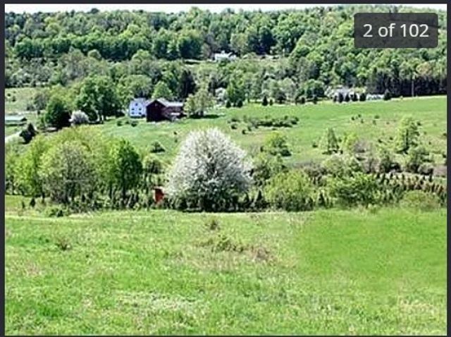 175 Searles Hill Road, Bainbridge, NY 13733