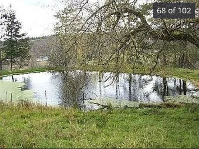 175 Searles Hill Road, Bainbridge, NY 13733