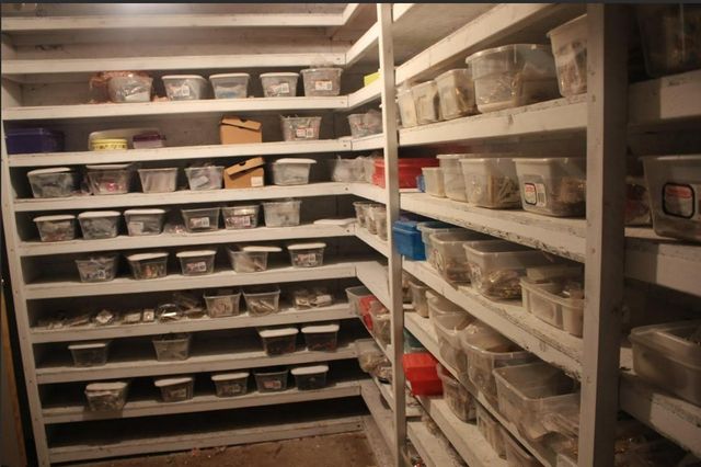 175 Searles Hill Road, Bainbridge, NY 13733