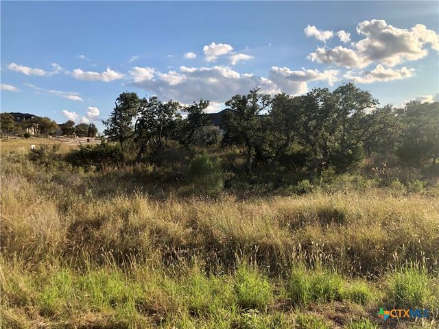 0 Chardonnay, New Braunfels, TX 78132