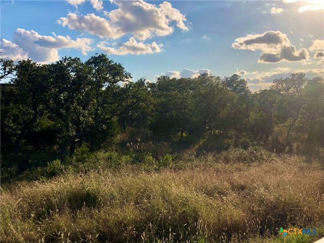 0 Chardonnay, New Braunfels, TX 78132