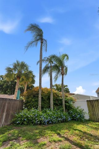 4002 PEBBLESTONE PLACE, Tampa, FL 33624