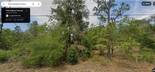11754 N BELLUZZI TERRACE, Dunnellon, FL 34433