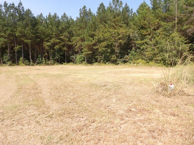 1330 Whitehouse Road, Summerville, SC 29486