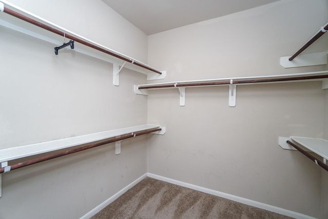 31 Indian Palms Drive, Manvel, TX 77578