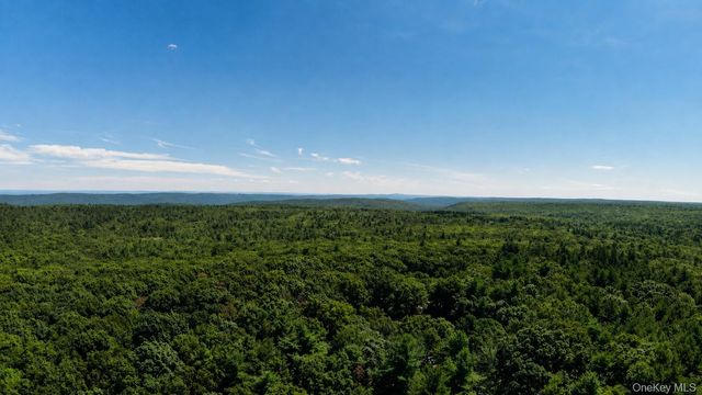 259 Yankee Lake Road, Wurtsboro, NY 12790