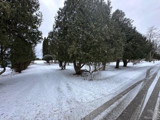 9 Livingston Street, Brockway, MI 48097