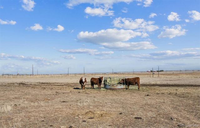 43251 E Iliff Trail, Bennett, CO 80102