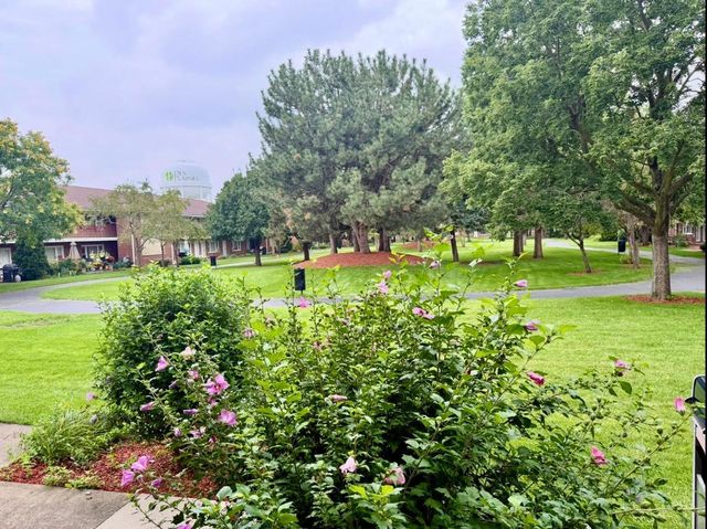101 Dover Drive 5, Des Plaines, IL 60018