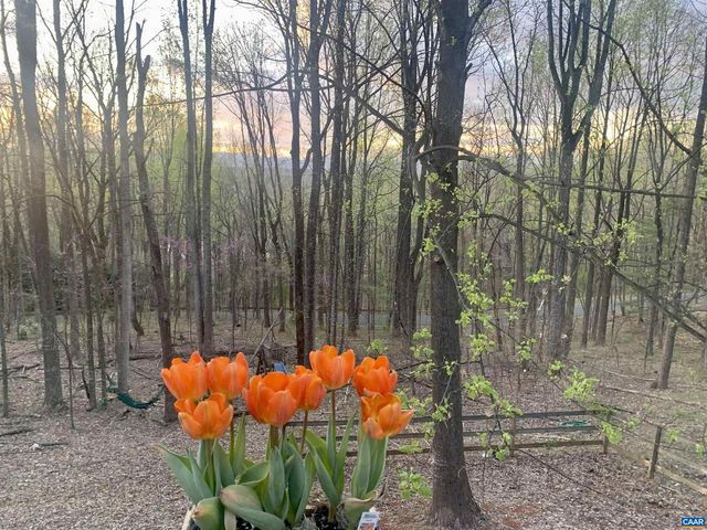 1880 NORTH PANTOPS DR, Charlottesville, VA 22911