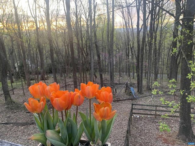 1880 NORTH PANTOPS DR, Charlottesville, VA 22911