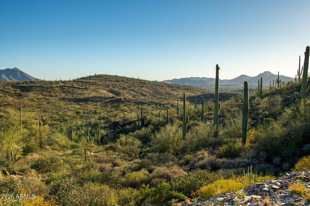 425XX N 66th Street -, Cave Creek, AZ 85331 — photo 4