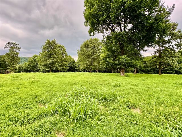 15196 Cincinnati Creek Road, Summers, AR 72769