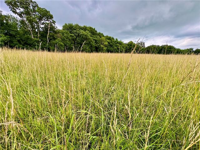 15196 Cincinnati Creek Road, Summers, AR 72769
