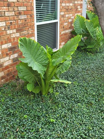 4317 Hartford Street 109, Dallas, TX 75219