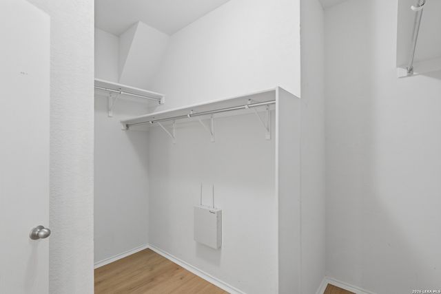 9003 Canter Horse, San Antonio, TX 78254