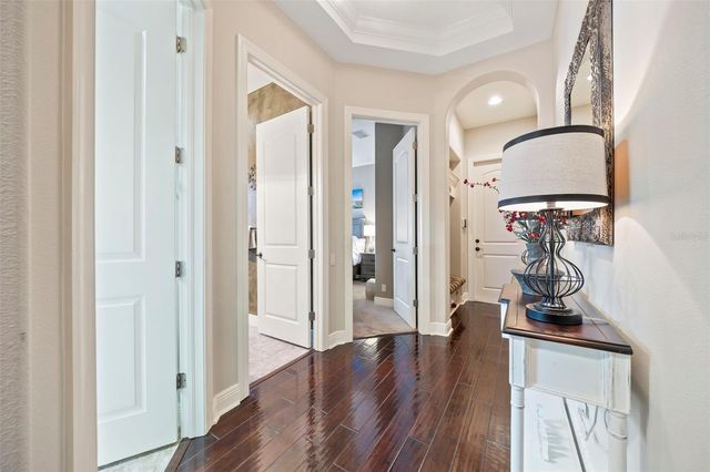 1207 MERRY WATER DRIVE, Lutz, FL 33548