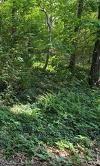 2 Lilac Lane, Grand Beach, MI 49117