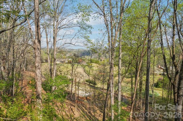 409 Whitney Boulevard, Lake Lure, NC 28746
