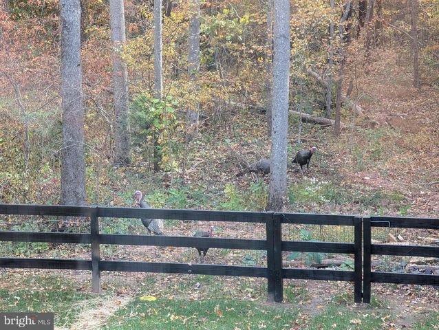 11125 PINE VIEW ESTATES CT, Nokesville, VA 20181