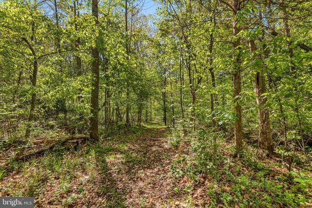 11125 PINE VIEW ESTATES CT, Nokesville, VA 20181