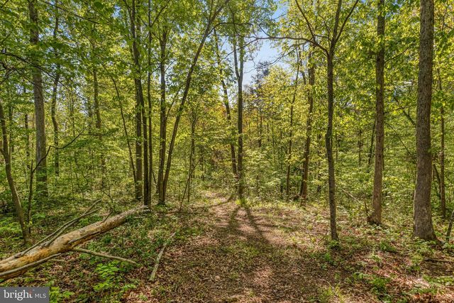 11125 PINE VIEW ESTATES CT, Nokesville, VA 20181