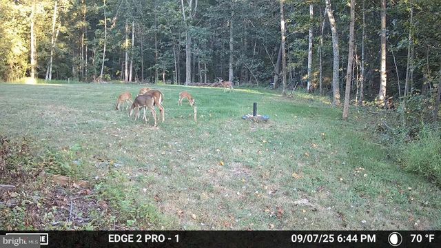 11125 PINE VIEW ESTATES CT, Nokesville, VA 20181