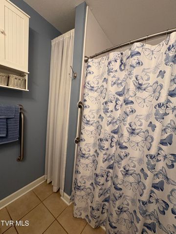 33 Sagewood Court 33, Jonesborough, TN 37659