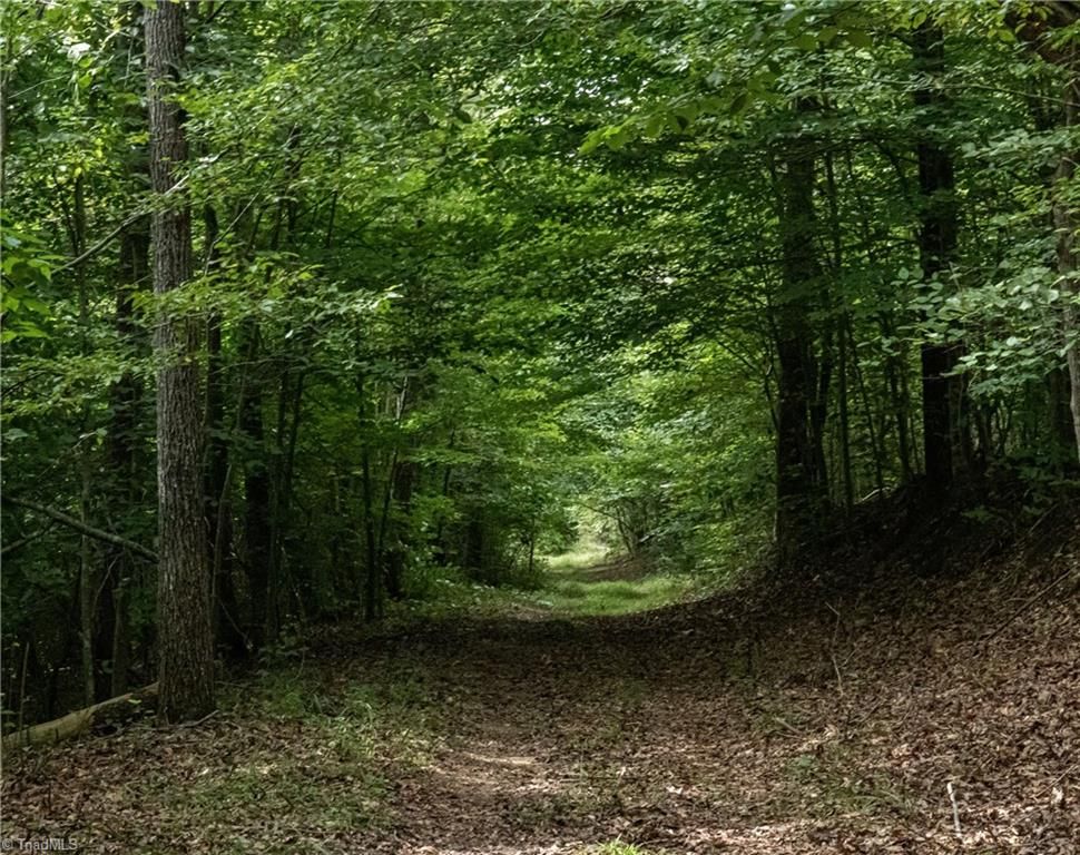 00 Peewee Cromer Road, Danbury, NC 27016
